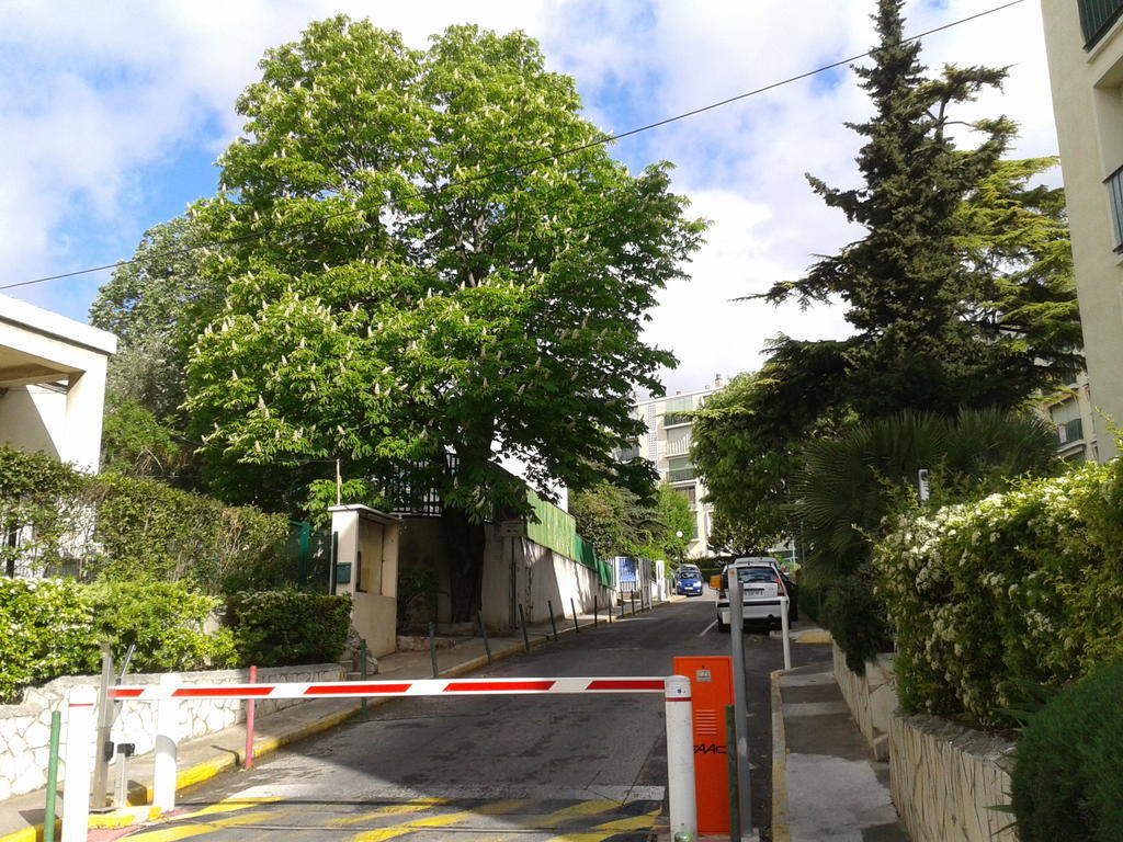 مارسيليا Chambre D'Hote Zen Chez Philippe المظهر الخارجي الصورة